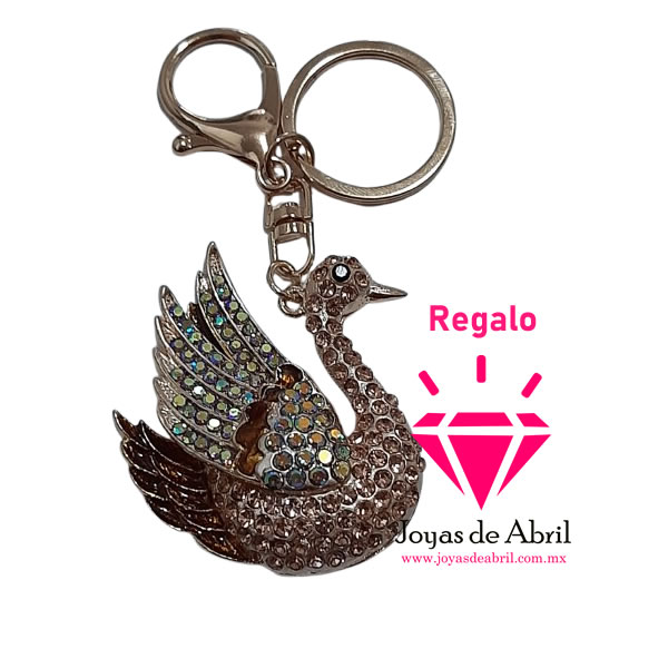 Cadena, medalla de angel, aretes y dos anillos